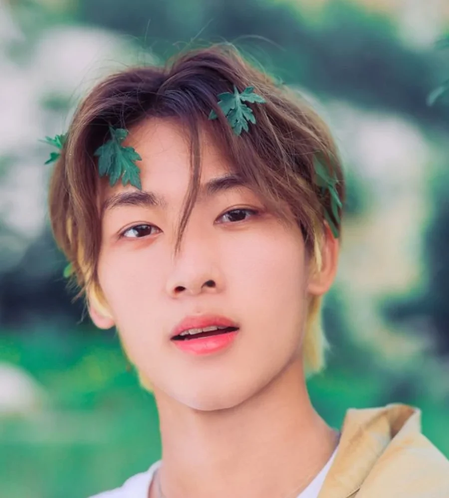 AEEO 프로필