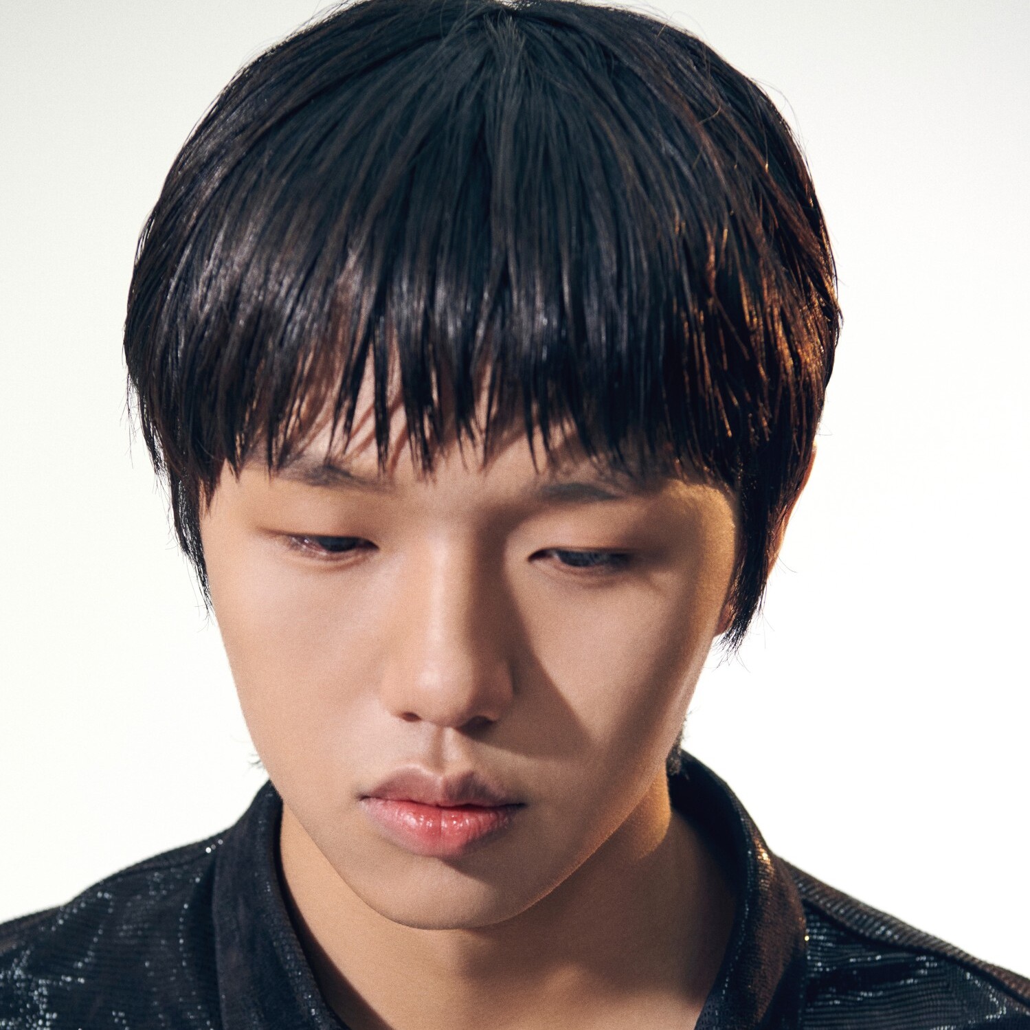 Aiboy 프로필