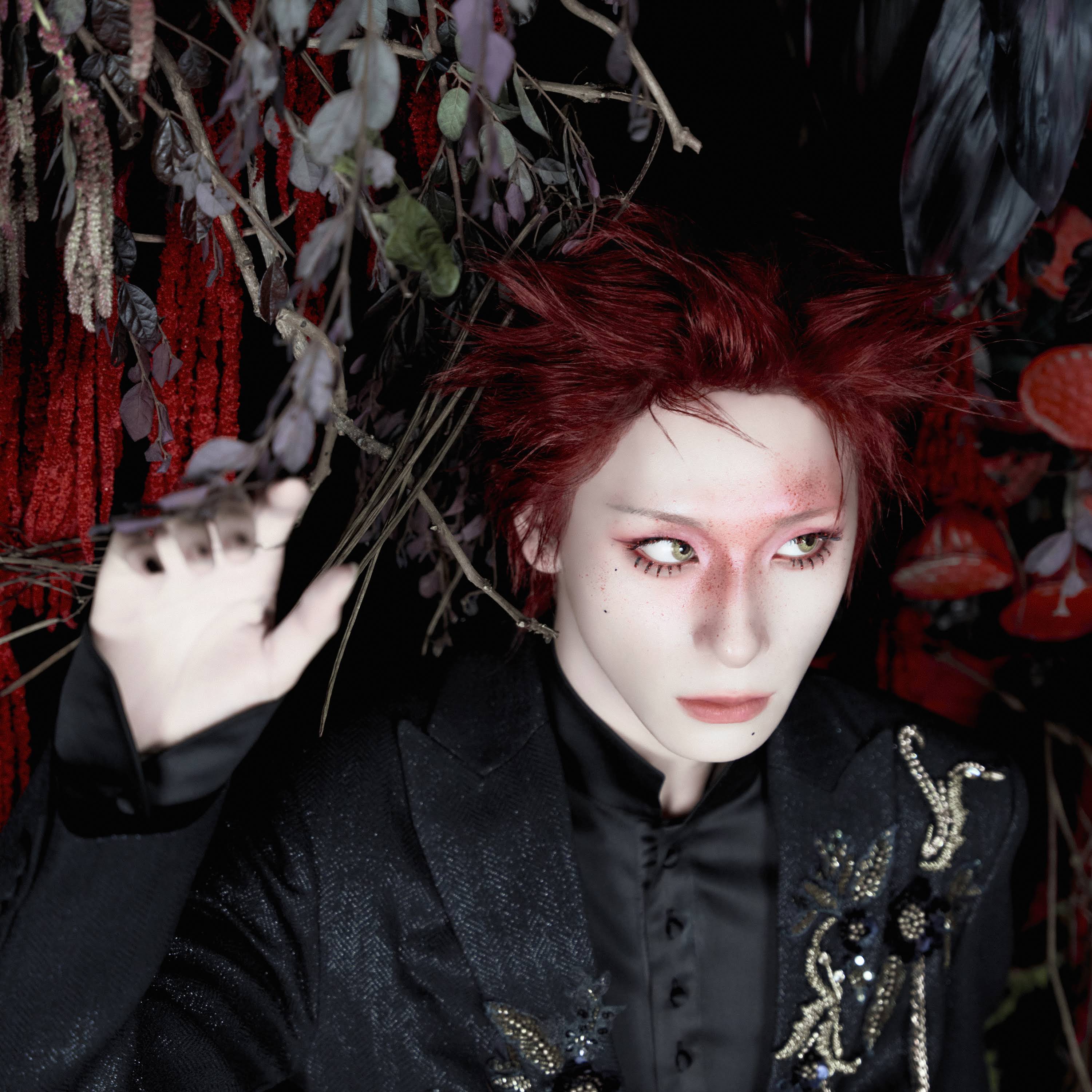i.HARU　6点 Haru (XLOV) profile, age, MBTI & facts | kpopping