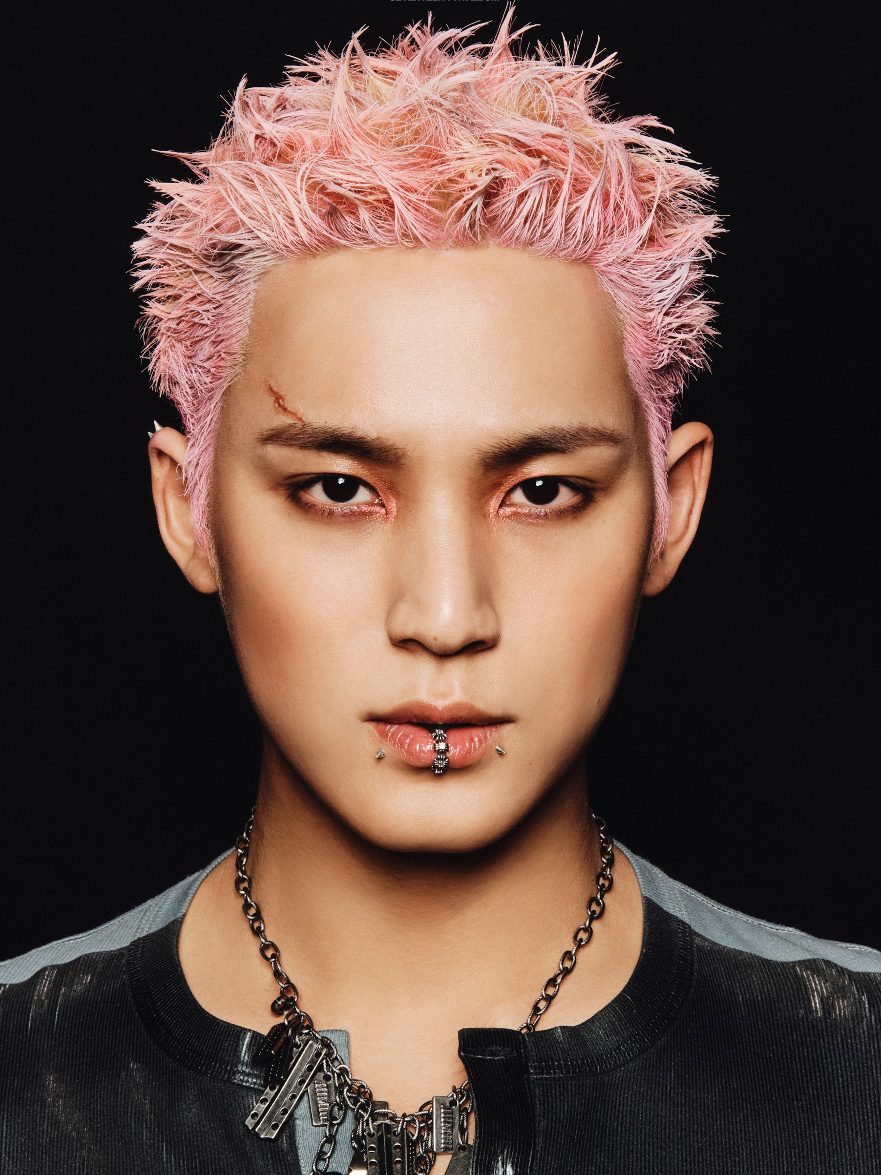 Mingyu (SEVENTEEN) — K-pop Idol Profile | kpopping