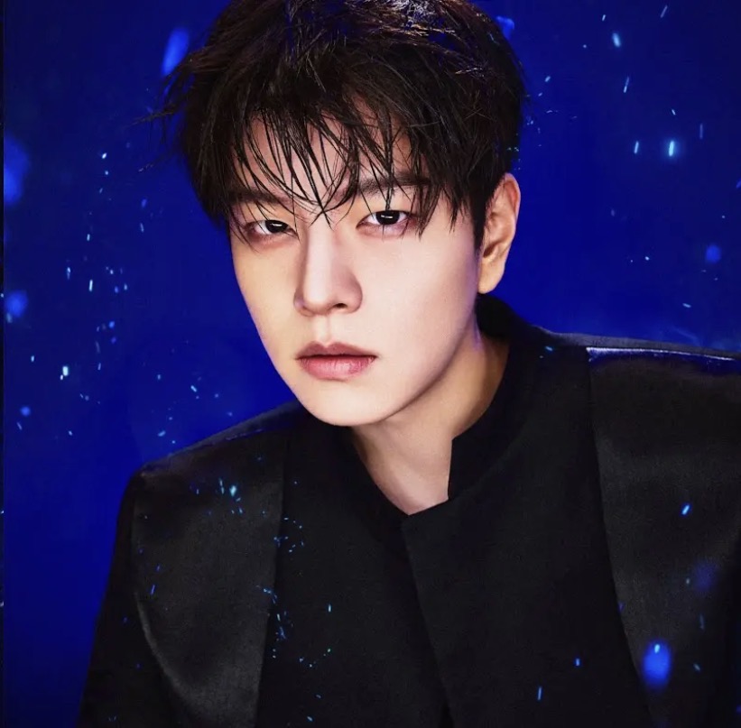 Seungmin (Stray Kids) — K-pop Idol Profile | kpopping