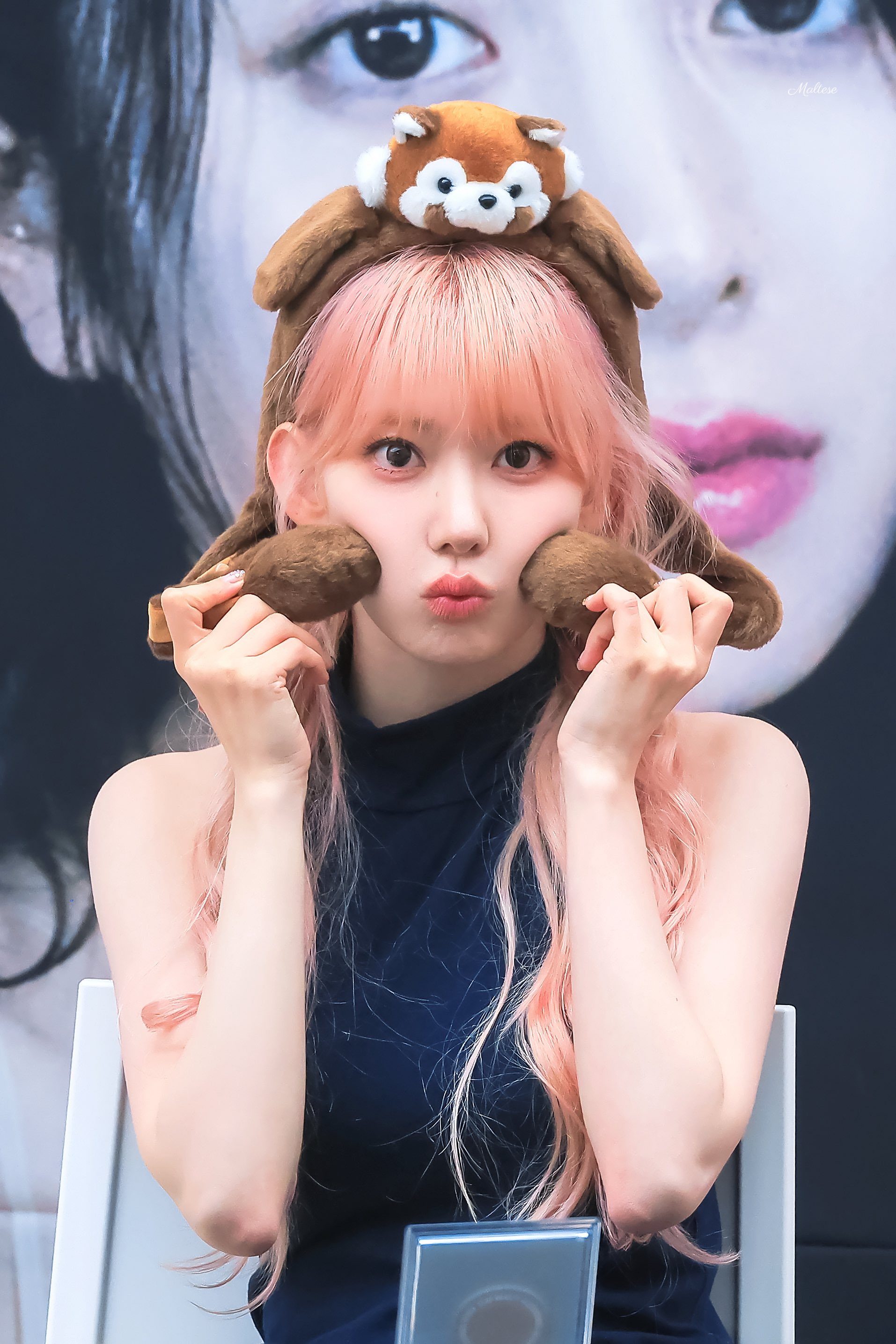 Sakura — 260525 Sakura at Ktown4u Fansign HQ Photos | kpopping
